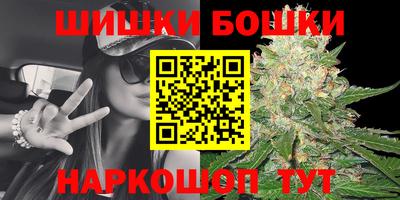 2c-b Будённовск